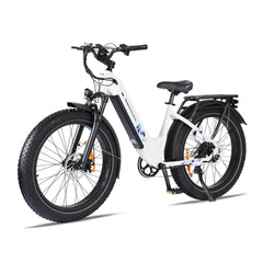 Senada Mayor 48V/ 20AH 750W Premium All-terrain Fat Tire Electric Bike