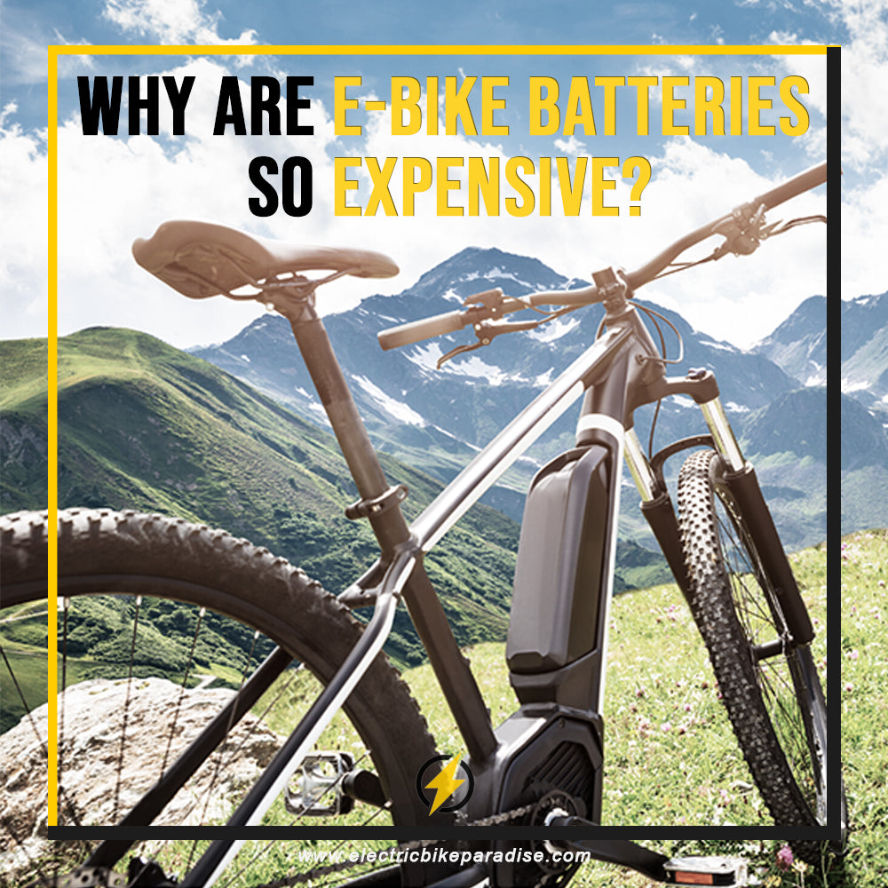 Why Are E-Bike Batteries So Expensive