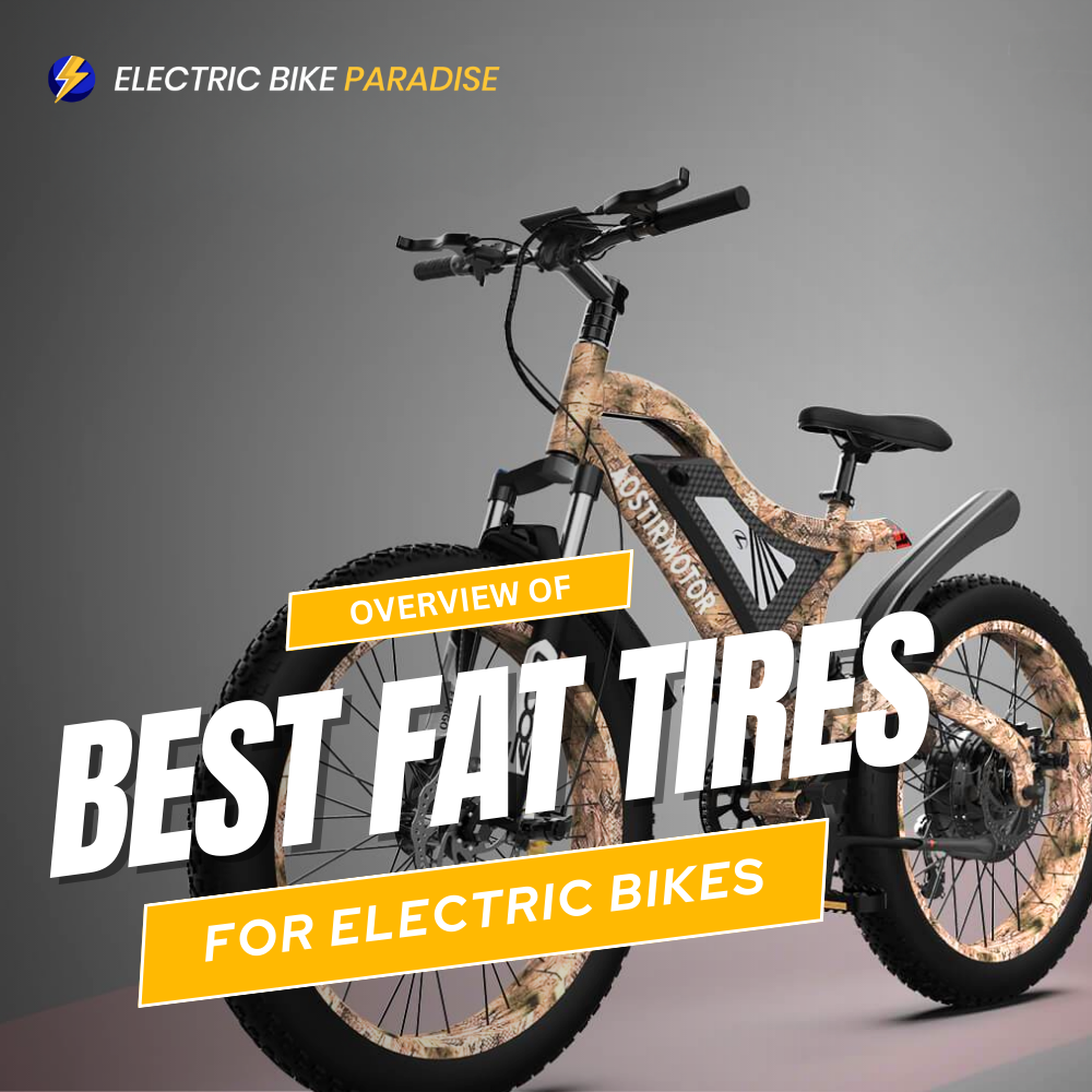 Rolling In Style: Unveiling the Best Fat Tires for Ebikes