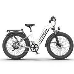 Aostirmotor QUEEN 1000W 52V Step-Through All-Terrain Fat Tire Electric Bike