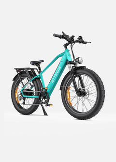 Engwe E26 1000W 48V 16Ah Lithium-Ion Battery All-Terrain E-bike