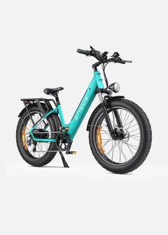 Engwe E26 1000W 48V 16Ah Lithium-Ion Battery All-Terrain E-bike