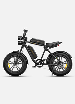 Engwe M20 1000W Electric Bike