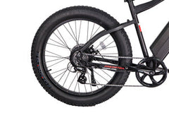 GlareWheel EB-PR 48V/13Ah 500W Fat Tire Electric Mountain Bicycle