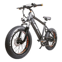 GlareWheel EB-X7 48V 8Ah 20' Fat Tire  Electric Bicycle