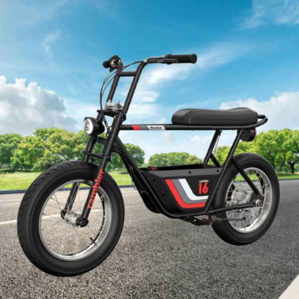https://www.electricbikeparadise.com/cdn/shop/files/razor-rambler-16-36v-350w-electric-minibike-40882709037311.jpg?v=1702303269