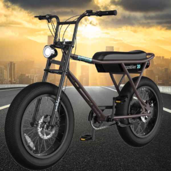 https://www.electricbikeparadise.com/cdn/shop/files/razor-rambler-16-37v-500w-electric-minibike-40882781061375.jpg?v=1702305808