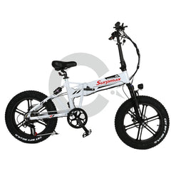 Chartior Surpmax 500W Folding Electic Bike