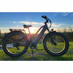 Dirwin Pioneer Step-thru 48V/15Ah 750W Fat Tire Electric Mountain Bike
