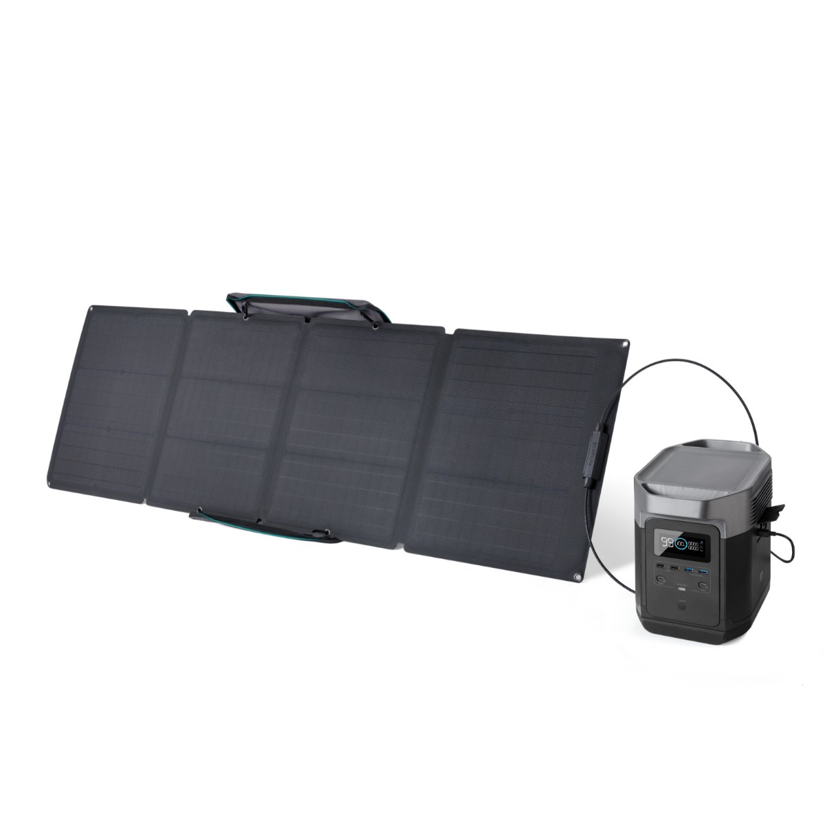 EcoFlow Delta 1300 + 110W Solar Panel