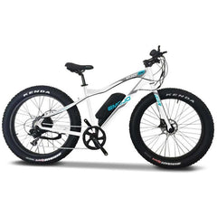 Emojo Wildcat Pro 48V/10.4Ah 500W-700W Fat Tire Electric Mountain Bike