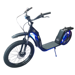 Glide Cruisers Raptor 48V/18Ah 1000W Fat tire Electric Scooter F1
