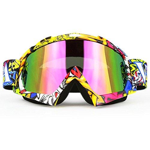 Professtional Adult Motorcycle Goggles Off Road Dirt Bike ATV Riding Motocross Mx Goggles Glasses for Men Women Youth Kids(C74)
