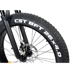 Rattan Pathfinder 750W 48V/13Ah Fat Tire Electric Bike PF750