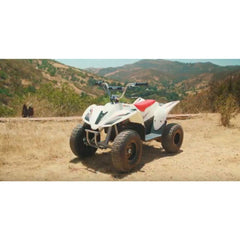 Razor Dirt Quad 36V 500W Off-Road Electric ATV RZ-DQ500