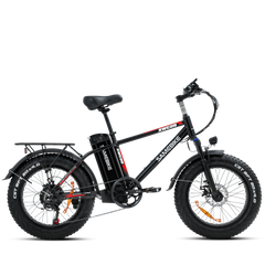 Samebike XWC05 48V/13Ah 750W Fat Tire Electric Bike